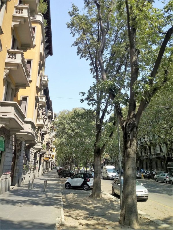 appartamento in affitto a Milano