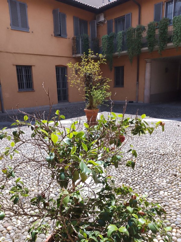 appartamento in affitto a Milano in zona Bocconi