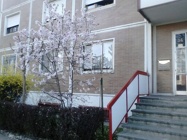 appartamento in affitto a Milano in zona Gratosoglio