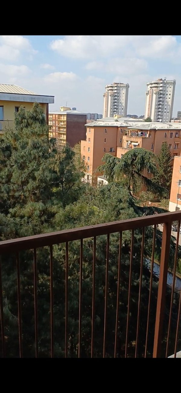 appartamento in affitto a Milano in zona Maggiolina