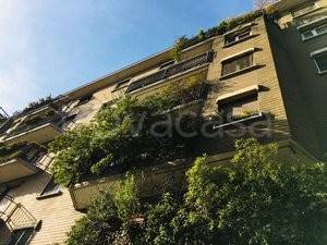 appartamento in affitto a Milano in zona Città Studi