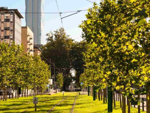appartamento in affitto a Milano in zona Villapizzone
