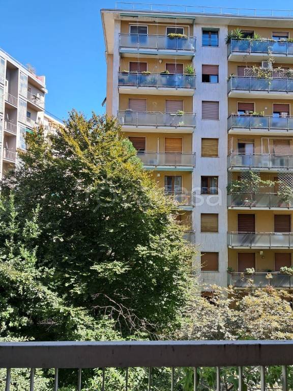 appartamento in affitto a Milano in zona Maggiolina