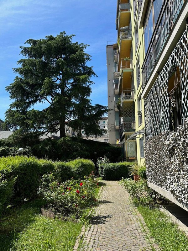 appartamento in affitto a Milano in zona Calvairate