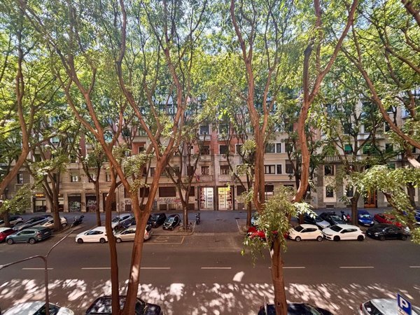 appartamento in affitto a Milano in zona Città Studi