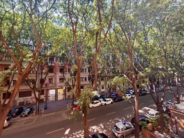 appartamento in affitto a Milano in zona Città Studi
