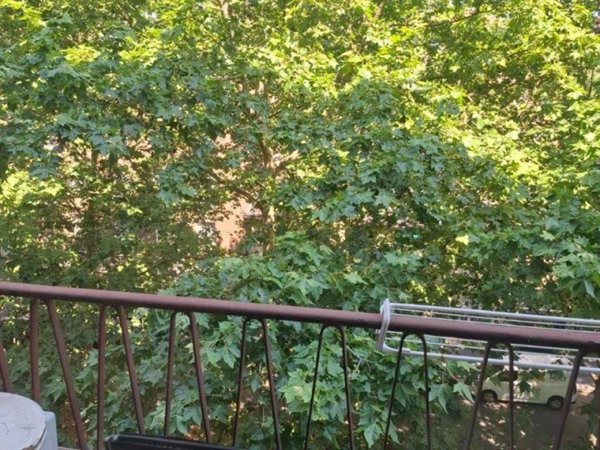 appartamento in affitto a Milano in zona Chiesa Rossa