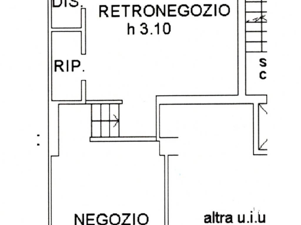 negozio in affitto a Milano in zona Città Studi