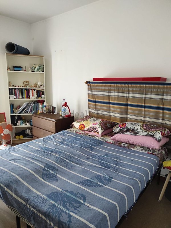 appartamento in affitto a Milano in zona Città Studi