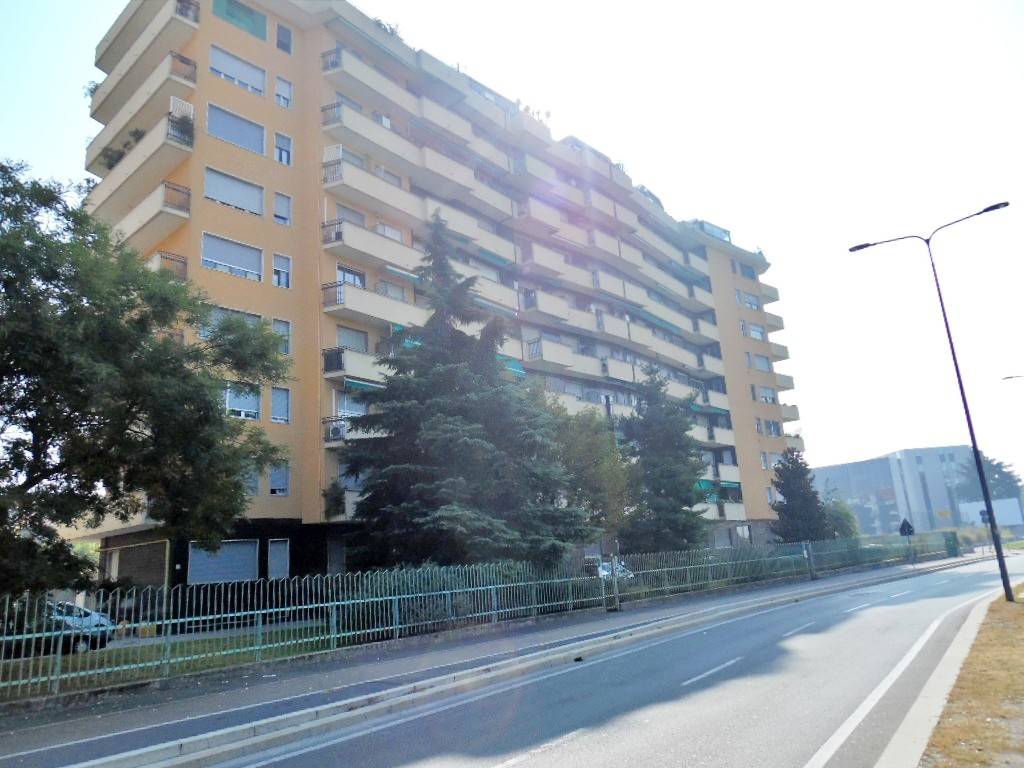 appartamento in affitto a Milano in zona Adriano