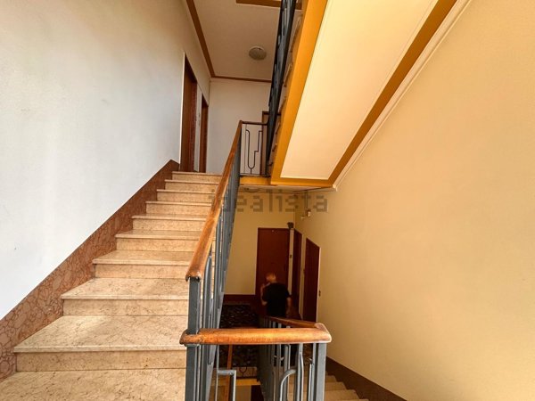 appartamento in affitto a Milano in zona Città Studi