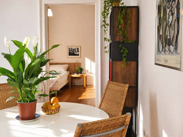 appartamento in affitto a Milano in zona XXII Marzo