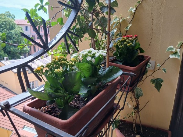 appartamento in affitto a Milano in zona Porta Romana