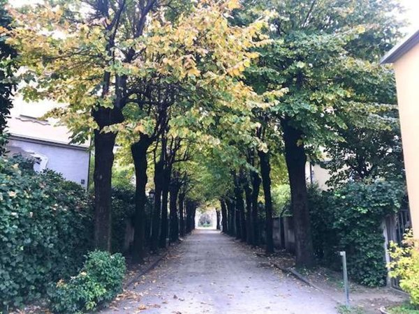appartamento in affitto a Milano in zona Rembrandt
