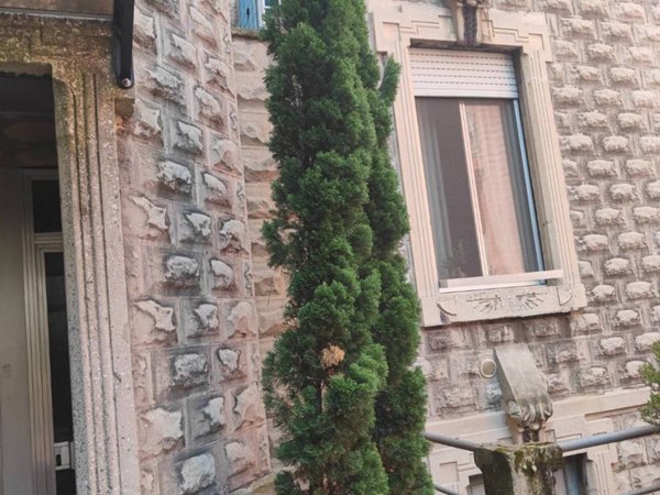 appartamento in affitto a Milano in zona Città Studi