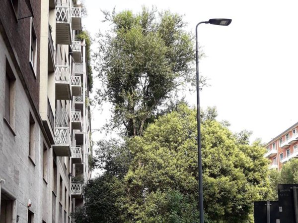 appartamento in affitto a Milano in zona Porta Vigentina