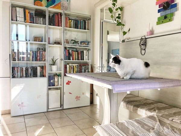appartamento in affitto a Milano in zona Stadera