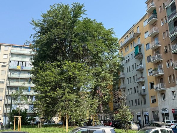 appartamento in affitto a Milano in zona Villapizzone