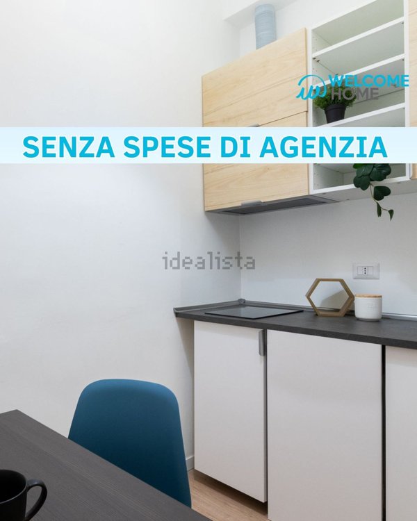 appartamento in affitto a Milano in zona Città Studi