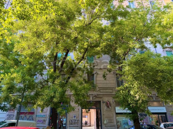 appartamento in affitto a Milano in zona Città Studi