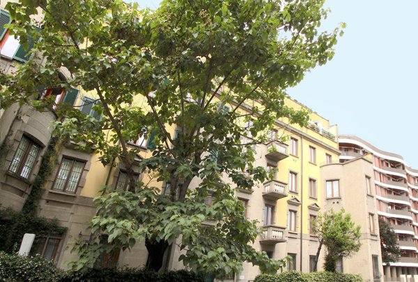 appartamento in affitto a Milano in zona Isola