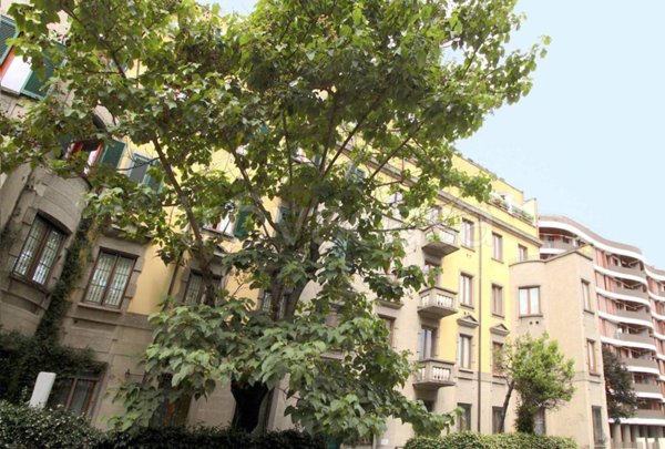 appartamento in affitto a Milano in zona Isola