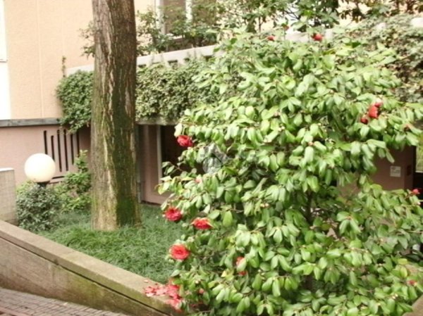 ufficio in affitto a Milano