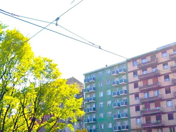 appartamento in affitto a Milano in zona Città Studi