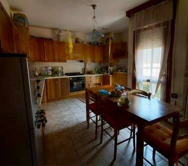 appartamento in affitto a Milano in zona Città Studi