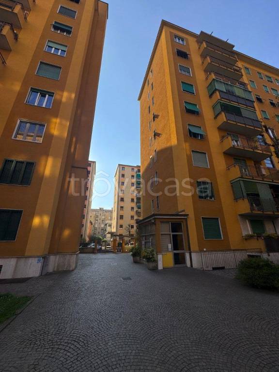 appartamento in affitto a Milano in zona Feltre