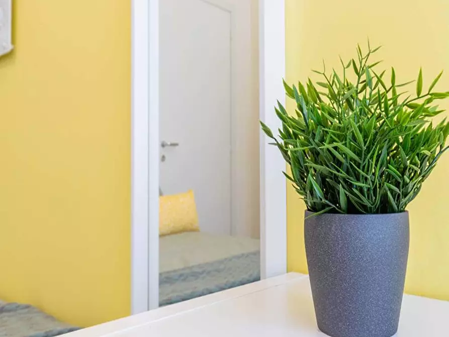 appartamento in affitto a Milano in zona Loreto