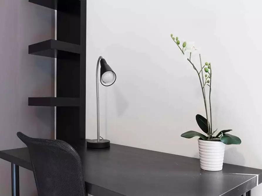 appartamento in affitto a Milano in zona Città Studi