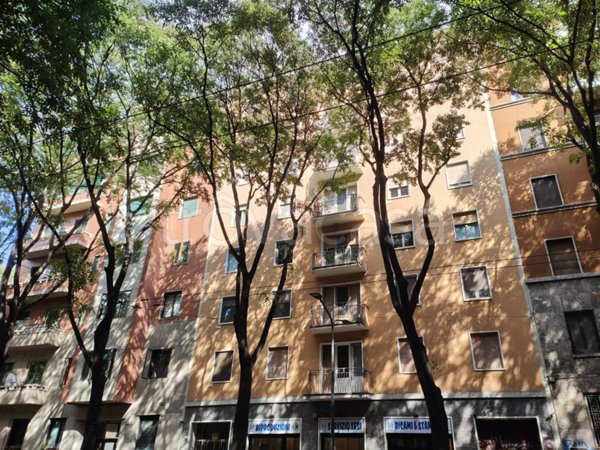 appartamento in affitto a Milano in zona Città Studi