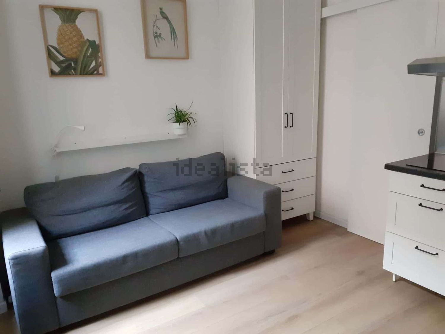 monolocale in affitto a Milano in zona Turro