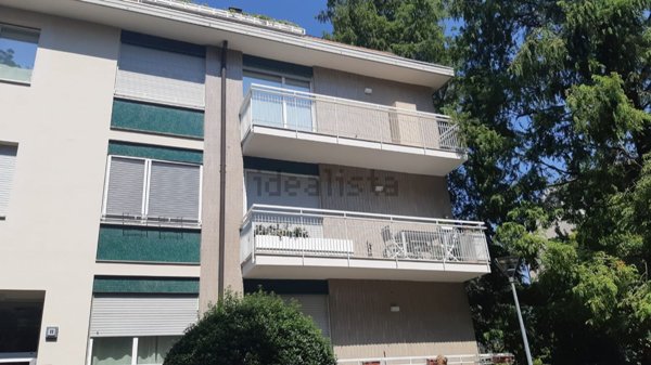 appartamento in affitto a Milano in zona Maggiolina