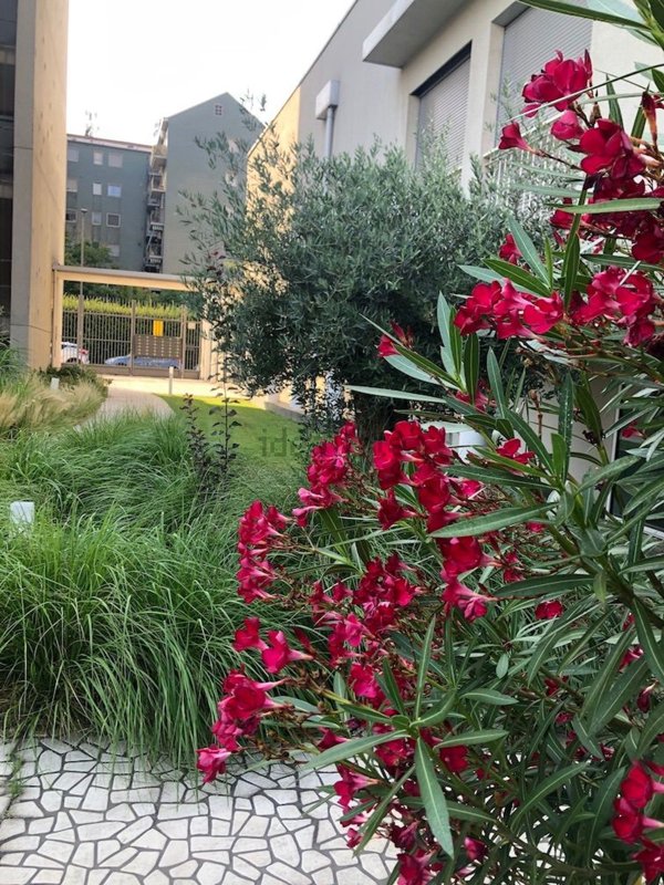 appartamento in affitto a Milano in zona Maggiolina