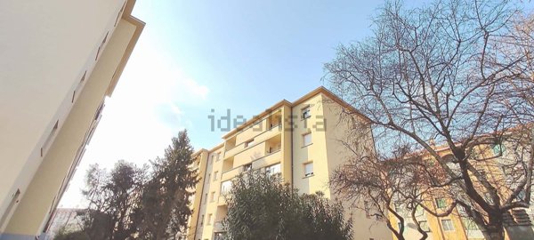 appartamento in affitto a Milano in zona De Angeli
