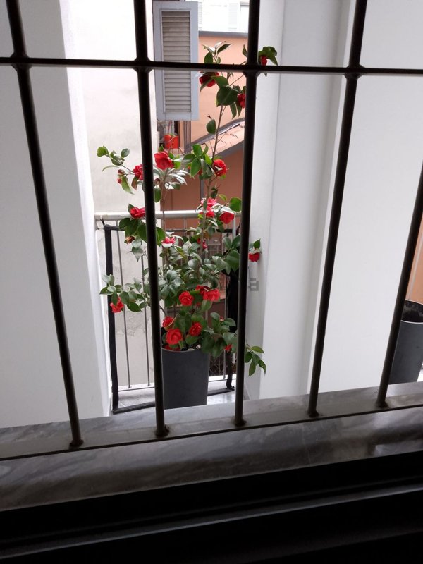 appartamento in affitto a Milano in zona Cadorna