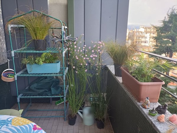 appartamento in affitto a Milano in zona Vigentino