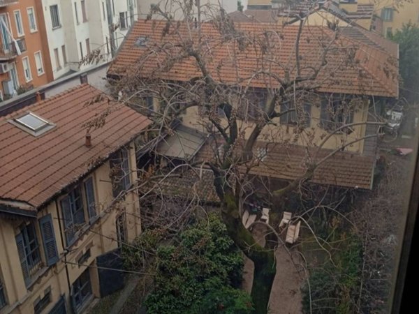 appartamento in affitto a Milano in zona Porta Venezia