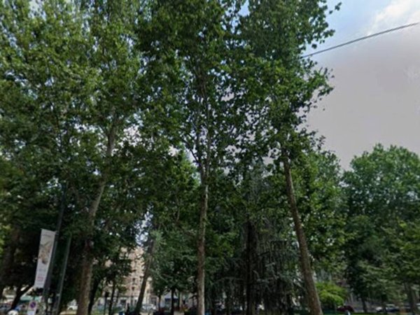 appartamento in affitto a Milano in zona Casoretto