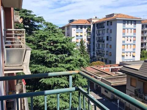 appartamento in affitto a Milano in zona Maggiolina
