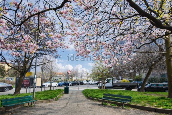 appartamento in affitto a Milano in zona Ghisolfa