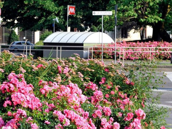 appartamento in affitto a Milano in zona Bande Nere