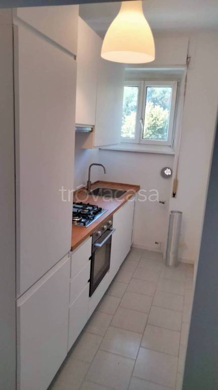 appartamento in affitto a Milano in zona Forlanini