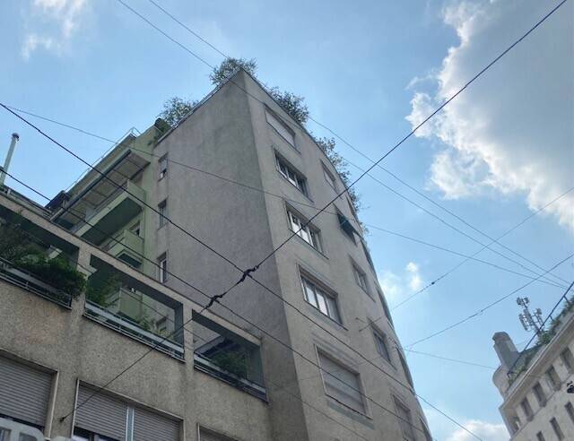 negozio in affitto a Milano in zona Loreto