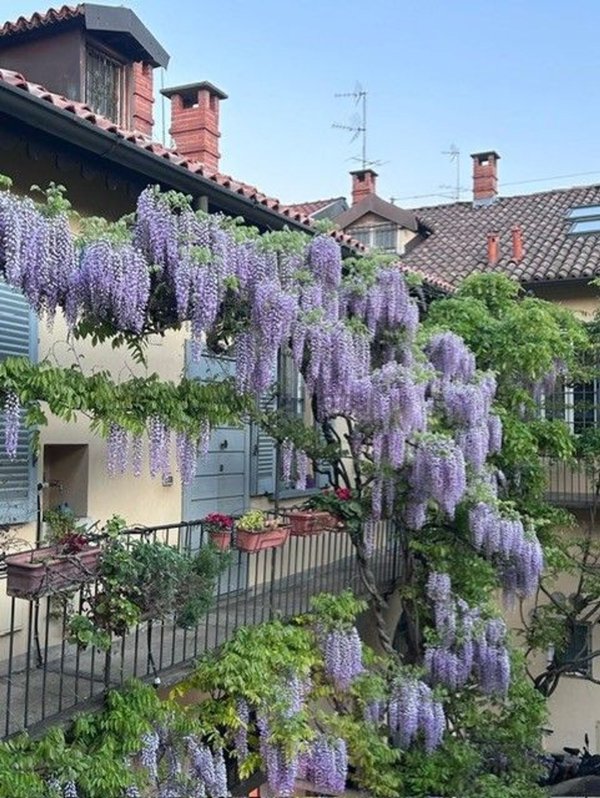 appartamento in affitto a Milano in zona Solari