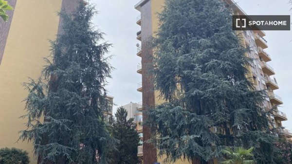 appartamento in affitto a Milano in zona Piazzale Lodi