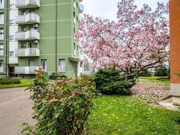 appartamento in affitto a Milano in zona Forlanini