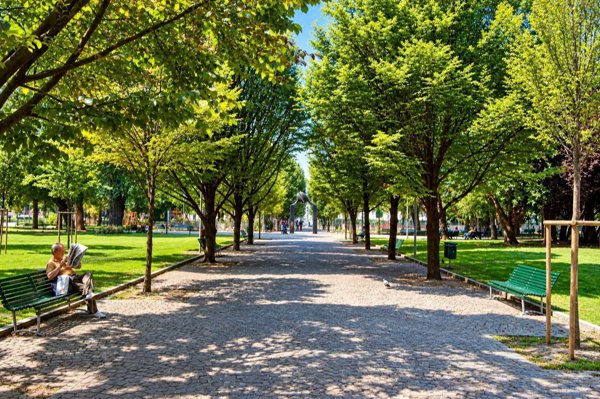 appartamento in affitto a Milano in zona Solari